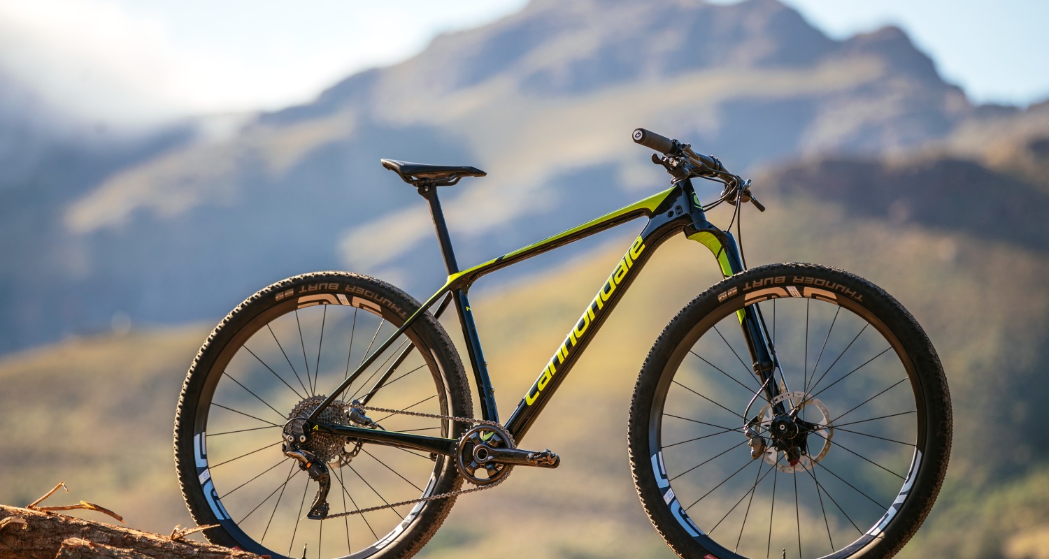 cannondale cfr downhill